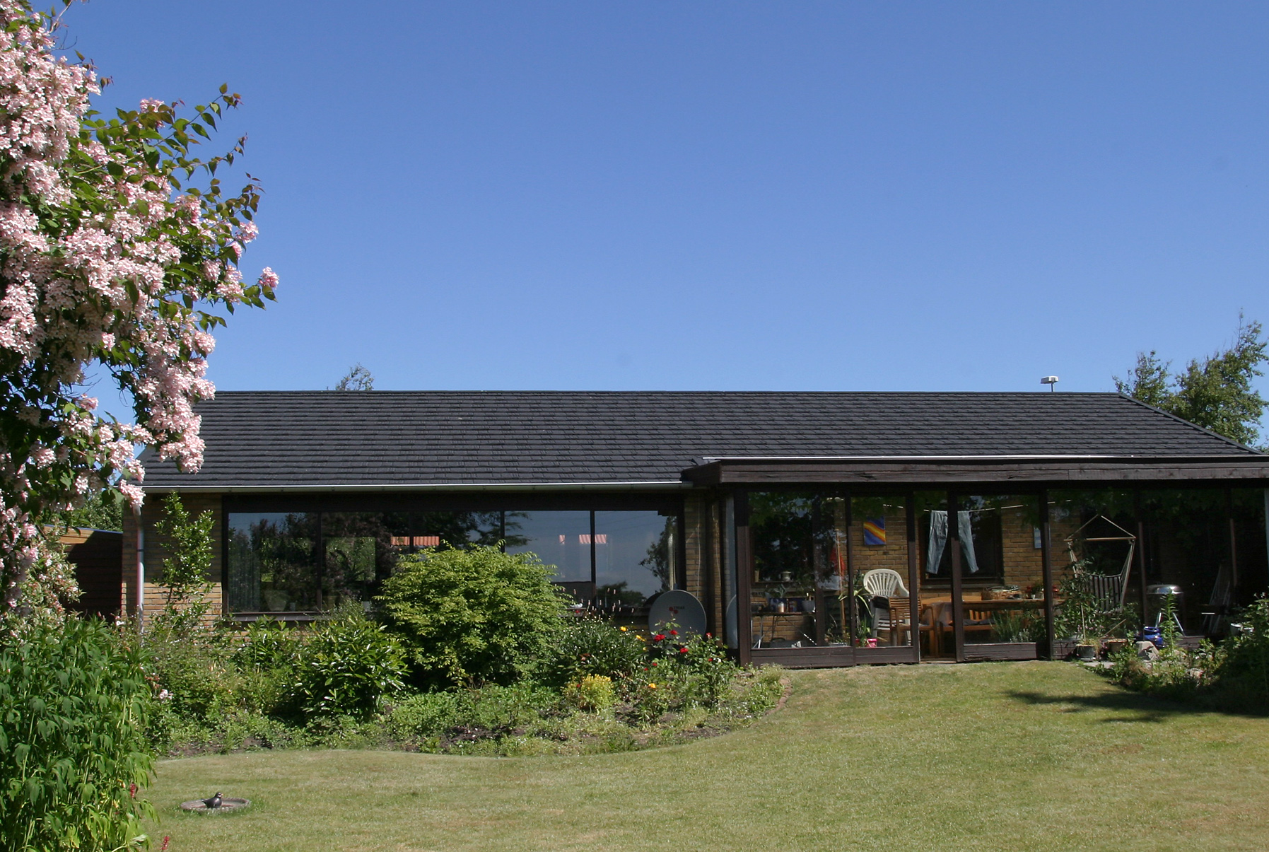 Moderne parcelhus med stor have og blomstrende træ